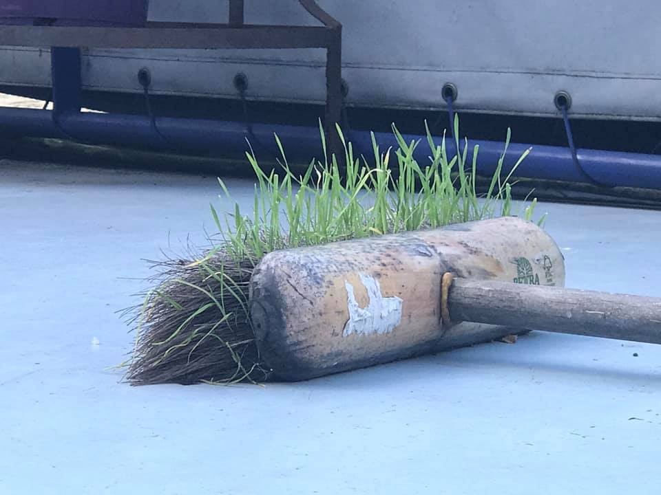 What am I doing now?